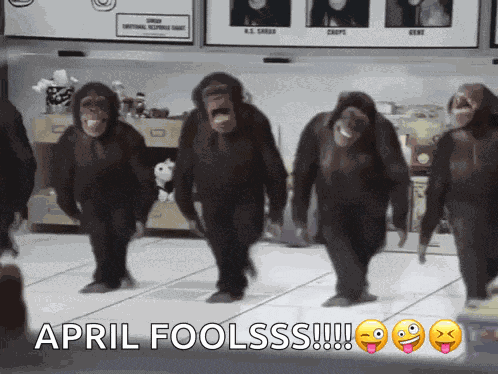 Monkey Dancing Chimp GIF