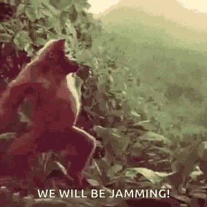 Monkey Dancing Monkey GIF