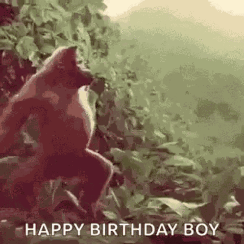 Monkey Dancing Monkey GIF