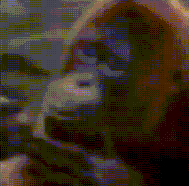 Monkey Dancing GIF