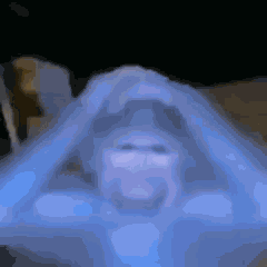 Monkey GIF