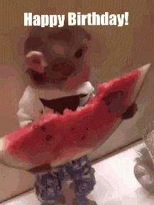 Monkey GIF