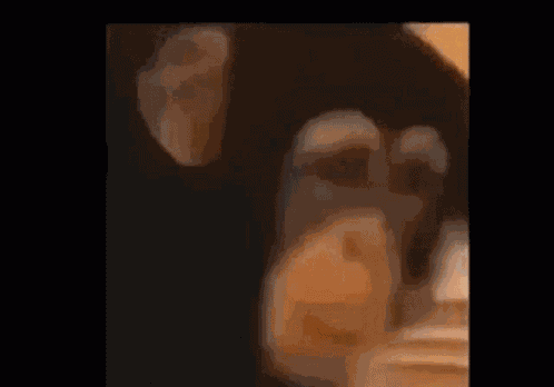 Monkey Flip GIF