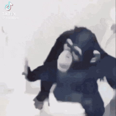 Monkey Funny GIF