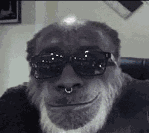 Monkey Girl Meme