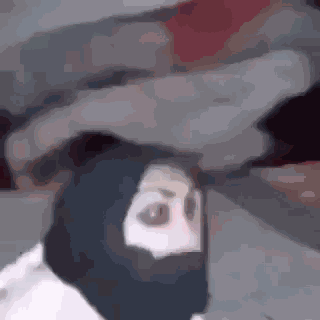 Monkey Hijab GIF