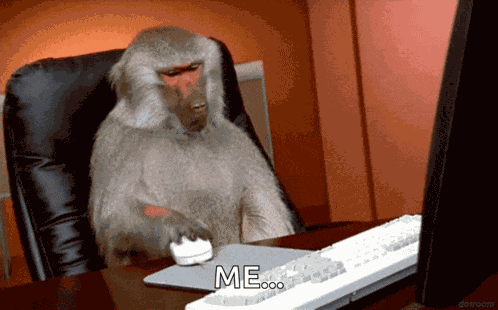 Monkey Laptop GIF