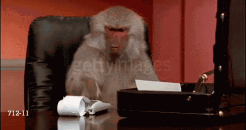 Monkey Math GIF