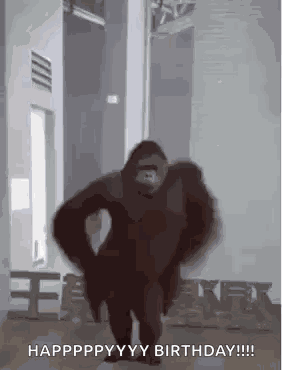 Monkey Monkey Dancing GIF