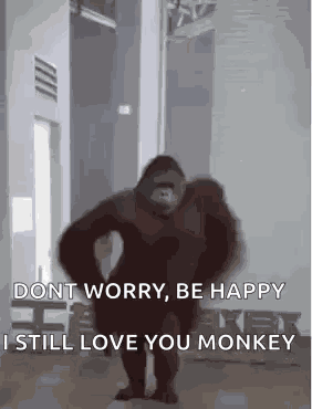 Monkey Monkey Dancing GIF