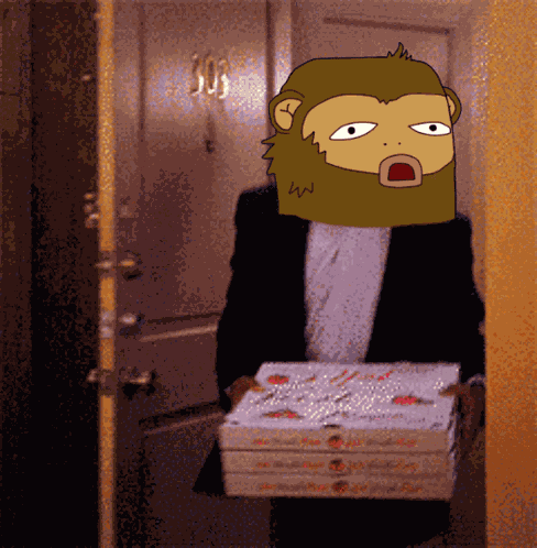 Monkey Monkeys GIF