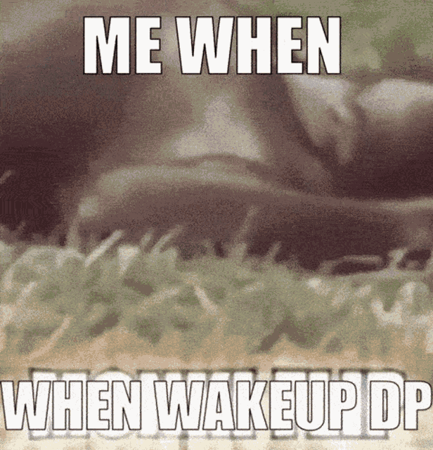 Monkey Monki Flip GIF