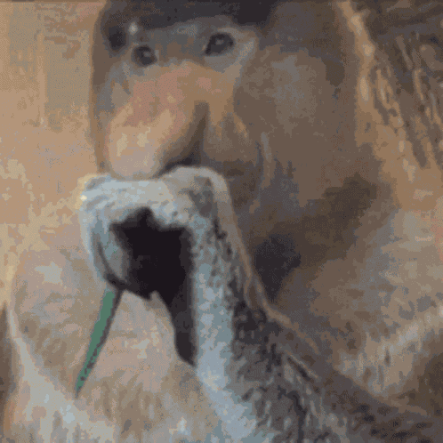 Monkey Morbius GIF