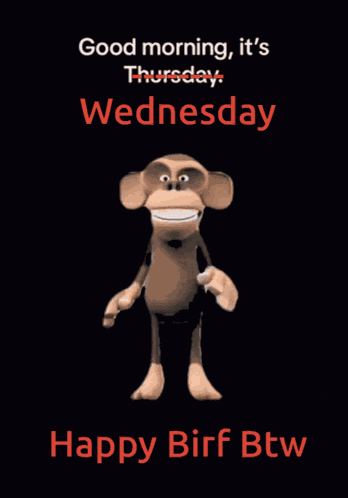 Monkey Morning GIF