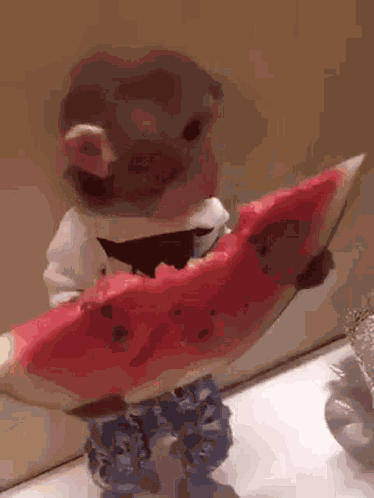 Monkey GIF