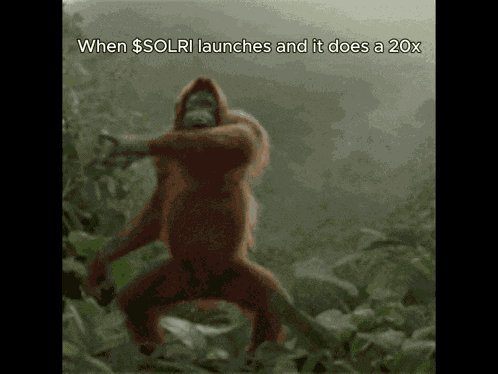 Monkey Planet Of The Apes GIF