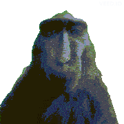 Monkey Rizz Rizz Monkey Sticker