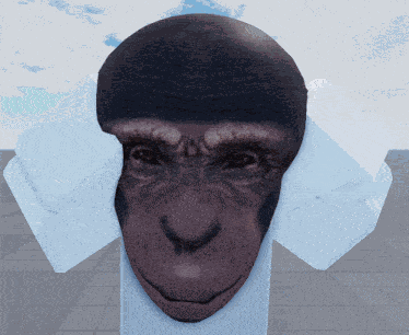 Monkey Rizz GIF