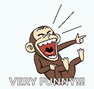 Monkey Rofl GIF