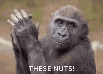 Monkey Slow Clap GIF