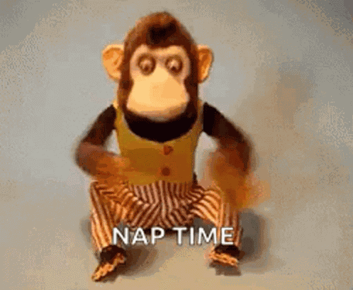 Monkey Tambourine GIF