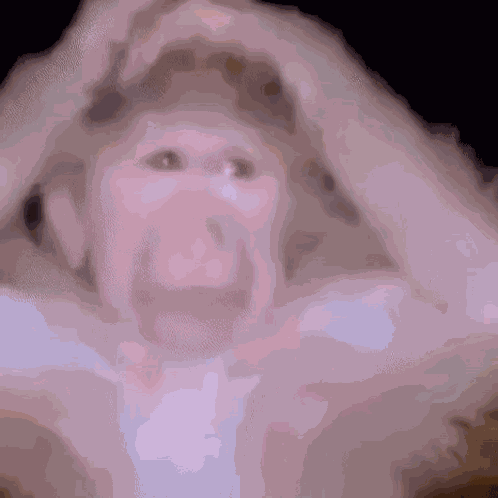 Monkey Thinking GIF