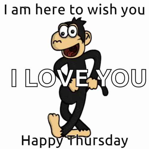 Monkey Thursday GIF