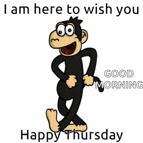 Monkey Thursday GIF
