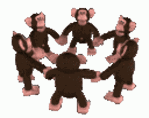 Monkey GIF