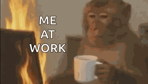 Monkey Working GIF