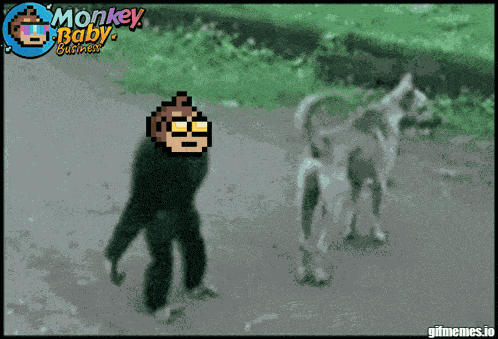 Monkeymeme Dancing Monkey GIF