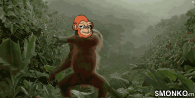 Monko Dancing Monko GIF