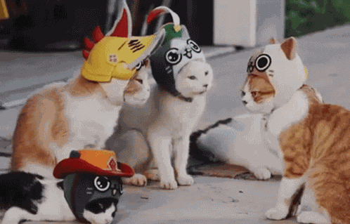 Monster Hunter Palico GIF