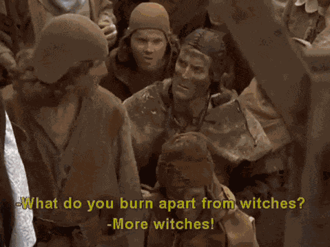 Monty Python And The Holy Grail Bevedere Witch Duck Arthur Scales Monty Python'S Holy Grail GIF
