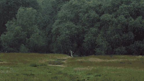 Monty Python And The Holy Grail Life Of Brian GIF