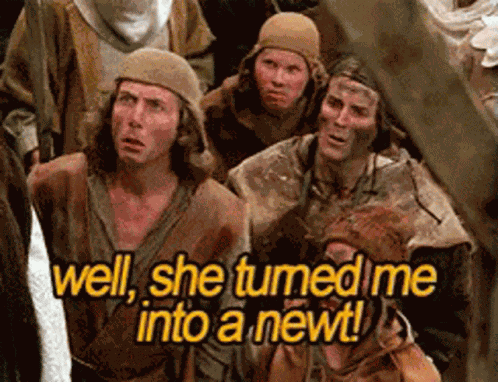 Monty Python And The Holy Grail She Tirned Me Into A Newt GIF
