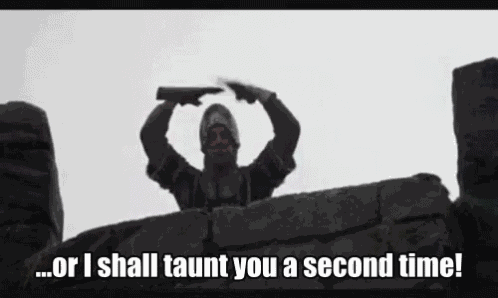 Monty Python And The Holy Grail Taunt GIF