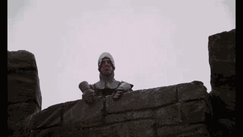 Monty Python Holy Grail GIF
