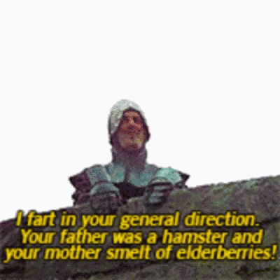 Monty Python Insult GIF