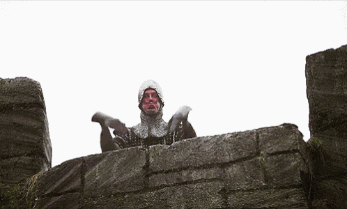 Monty Python Taunting GIF