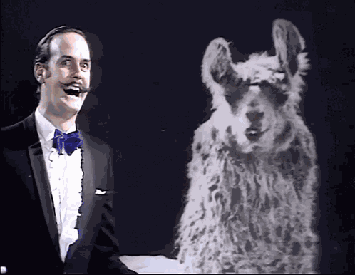 Monty Python'S Flying Circus Llamas John Cleese Eric Idle Terry Jones Graham Chapman GIF
