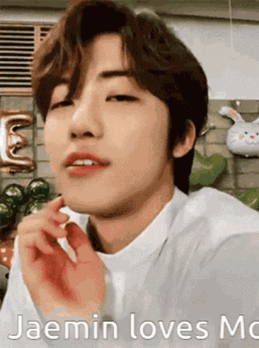 Moo GIF