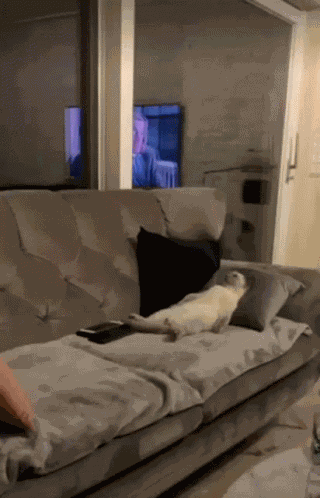 Mood Chill GIF