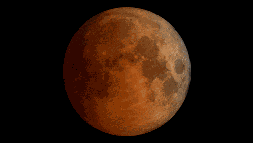 Moon Faces GIF
