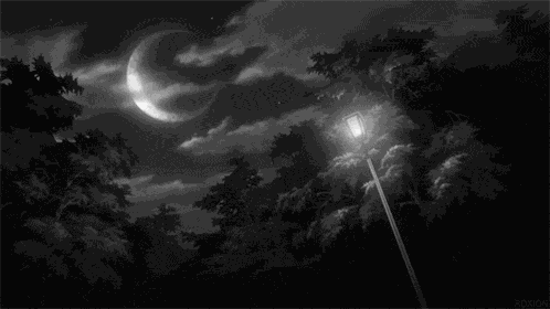 Moon Night GIF