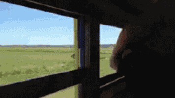 Mooning Spanking GIF