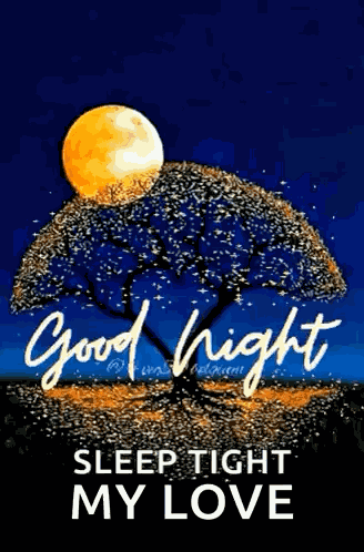 Moonlight Good Night Images GIF