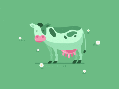 Mooo Cow GIF
