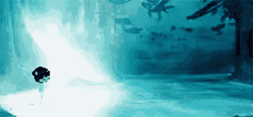 Morebears GIF