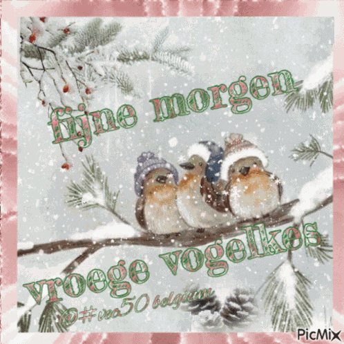 Morgend Vec50 GIF